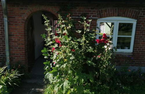 FW Achterdeck, 1 Obergeschoss, Petershof-Lehbek - Foto 19