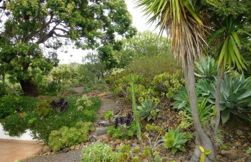 Casa las Pincoras - Foto 25