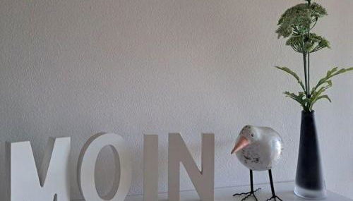 Op-England-I-mit-Terrasse-grossem-Garten - Foto 2