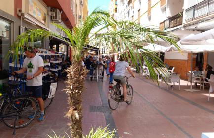 Ático Mediterráneo con Terraza y Solárium en el centro y a un paso del mar en Rincón de la Victoria - Photo 28