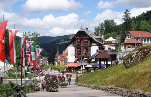 Rita - Atemberaubende Wasserfälle im Schwarzwald - Foto 17