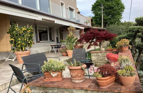 Villa l'Uliveta - Foto 13