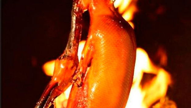 Beijing Roast Duck Dinner with Round Way Transfers - Private - Photo 5