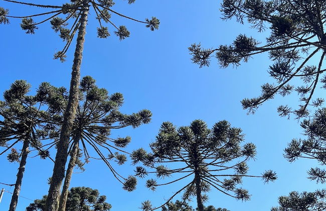 Bulawayo Lodge - Foto 57