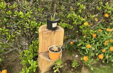 Casa da Atalaia - Photo 36