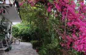 Mare Azzurro - Foto 8