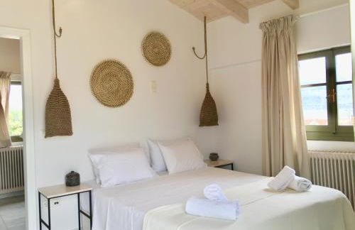 Alkestis Studios - Foto 21