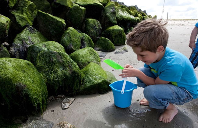 Well-kept Apartment, a Stone's Throw From the sea on Texel - Foto 32
