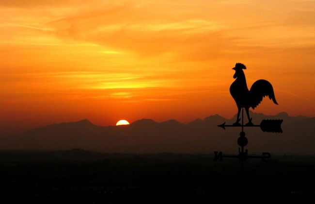 Verdidea - SOTTO COLLE - Foto 59