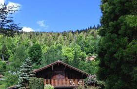 Chalet du Grand Arbre - Foto 1