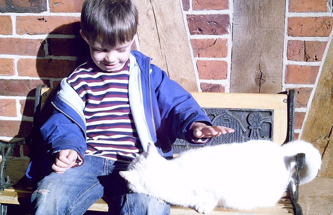 Spacious Apartment With Garden - Foto 12