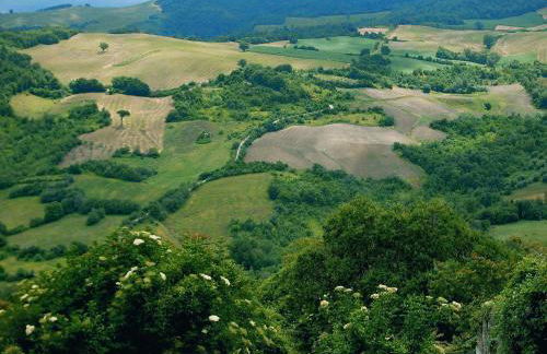 La Chiave del Gufo - Bojano - Foto 53