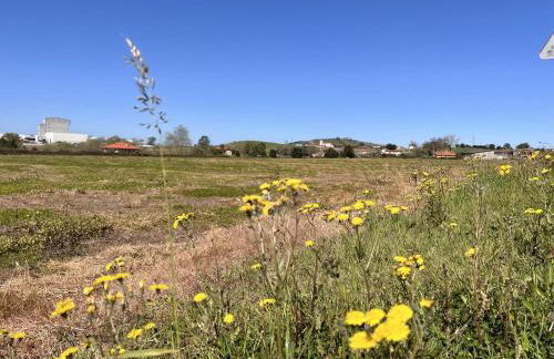 La Casuca de Orejo - Monabri - Foto 47