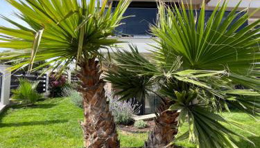 Galatea Suites - Foto 4