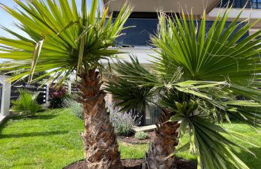 Galatea Suites - Foto 4