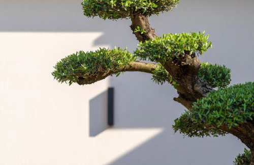 Villa Piera - Krk - Photo 30