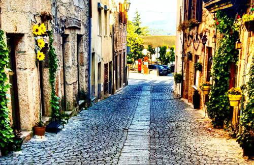 Casa Bento Teixeira - Foto 65