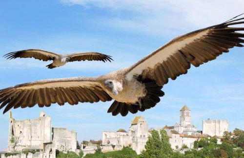 Les Gîtes du Chaix - Foto 46