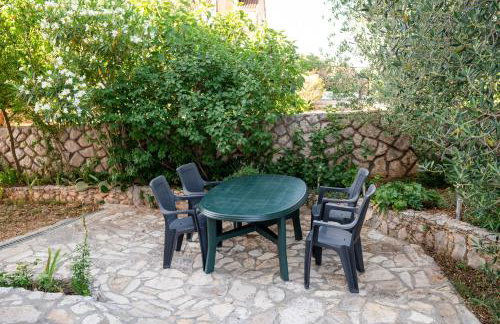 Dalmatian - Photo 26