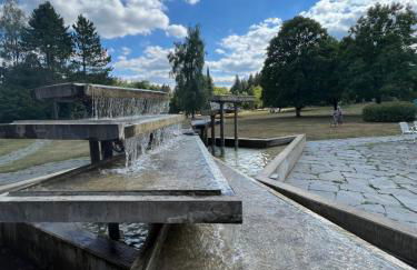 Apartment Schwarzwald-Anni Pool Tennis Sauna - Foto 58