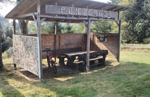 Chalet le Ponderosa - Foto 7