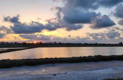 Apartamento en La Marina del Pinet - Foto 14