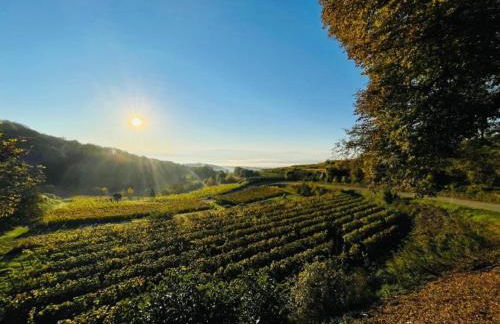 Holiday Apartment Monet in Oberrotweil - Foto 58