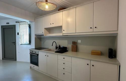 Ammos Andros Accommodation - Photo 15