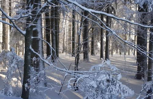 Apartment Charmante Wohnung in Langfurth mit Kleinem Balkon by Interhome - Foto 12