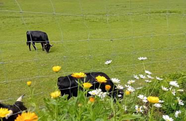 Ferienwohnung - Foto 16