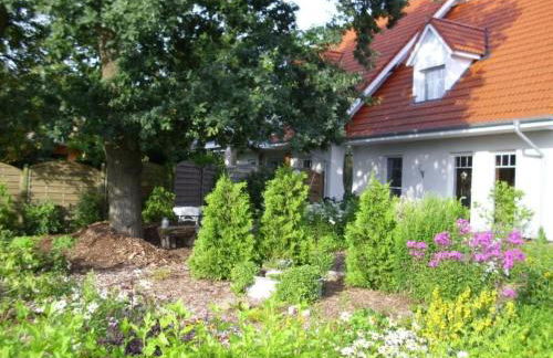 Apartment Wohnung in Abbehausen - Ellwürden by Interhome - Photo 4