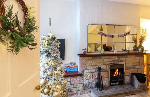 Golygfa'r Orsaf Snowdonia national park, Bala lake - Foto 11