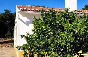 Casa do Forno Évora retreat - Foto 39