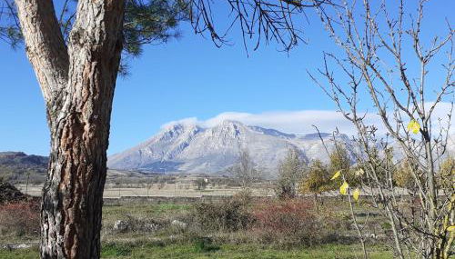 Villa Giulia - Foto 3