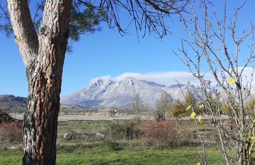 Villa Giulia - Foto 3