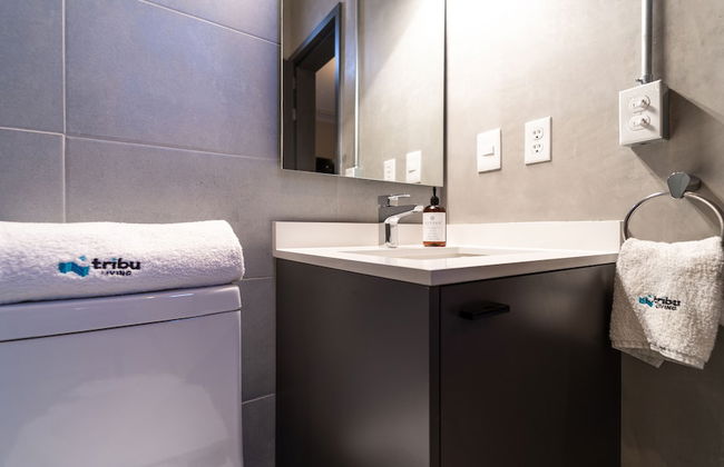 Tribu San Martín Chapultepec - Foto 73