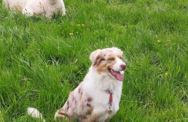 Ferienwohnung Biohof Mindermann - Foto 42