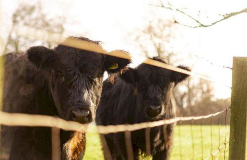 The Lodge House - By Elie - Foto 52