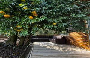 Cabana Bonato - Photo 58