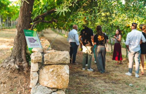 Palazzo Montanari Art & Wine Relais - Foto 15