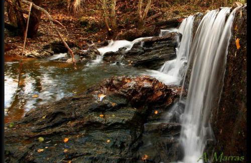 Apartamento Rural Las Palmeras - Foto 26