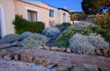 Casa Logos Stintino - Private pool - Foto 61