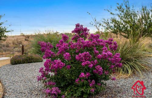 Elena's Sandia Sanctuary - An Irvie Home - Photo 75