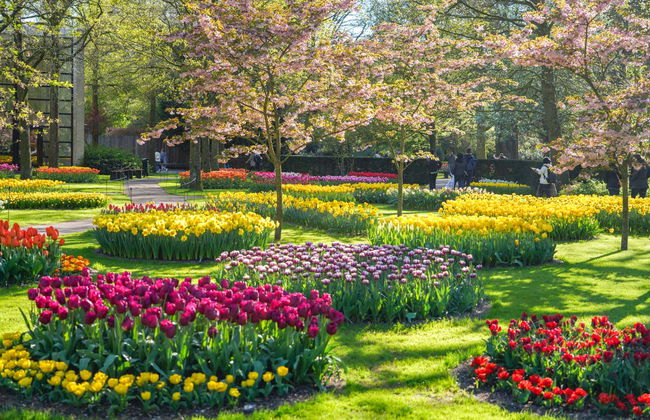 Entradas para Keukenhof - Photo 10