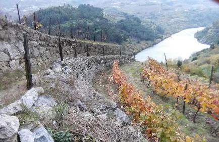 Quinta Barqueiros D'Ouro - Casa da Música - Photo 54