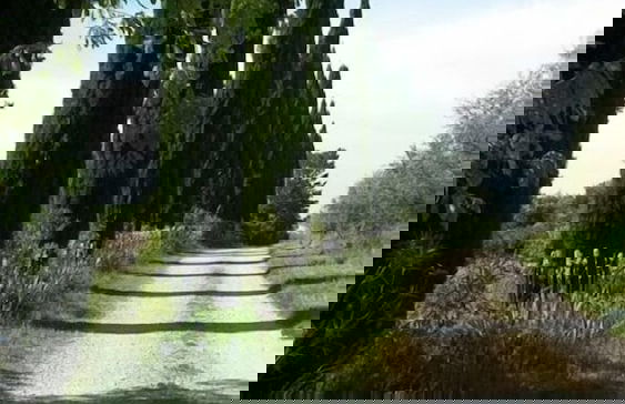 Agriturismo Solidor - Foto 33