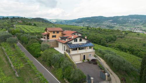 Zardo Winery - Foto 5