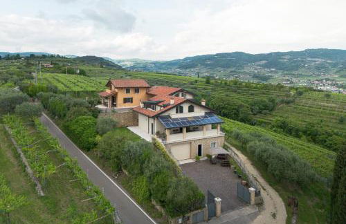 Zardo Winery - Foto 5