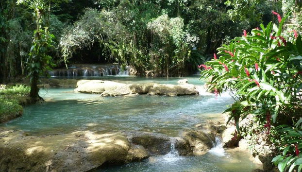 Chukka Appleton Estate, Black River Safari y tirolesa sobre YS Falls - Negril - Foto 2