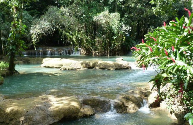 Chukka Appleton Estate, Black River Safari y tirolesa sobre YS Falls - Negril - Foto 2